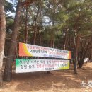 해송개발 이미지