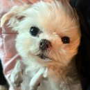 구로동로43길 17-5 | 열정은 넘치는데 체력이 협조를 안합니다