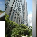 센트럴자이2단지 206동 측 | 평택 동삭동 평택센트럴자이2단지 아파트 경매, 시세보다 1억 낮은 기회?
