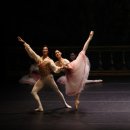 대구경북발레페스티벌 이미지