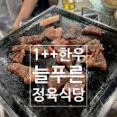 광성정육