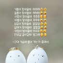 마이마이 이미지