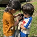 인제월명민박 이미지