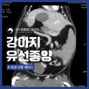 일곡동물병원 이미지