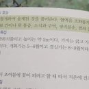 온새미로화장품
