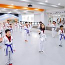 솔빛태권스쿨 이미지