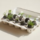 노보리지 이미지