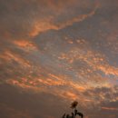 천지농장 이미지