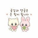 대덕대로-13 | [홍니][대전결혼준비][ep.13] 서구 in 모청 당첨 및 다니앤제이 스튜디오 야외스냅 예약 후기📸