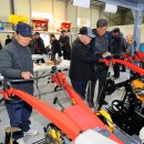 부흥이네 이미지