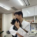 대신동물병원 이미지