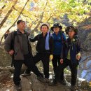 (주)은진 이미지