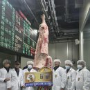 홍성한우 이미지