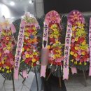 그린쉼 | 사촌 결혼 축하화환 문구 추천💐