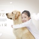 소망종합 동물병원 이미지