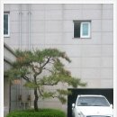 SM부동산 공인중개사사무소 이미지