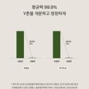 앤소프트 이미지