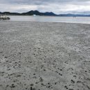 호동바닷가가든 이미지