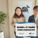 스테디