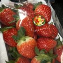 선영농장 이미지