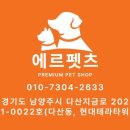 에르펫츠 강아지분양 고양이분양 다산점 이미지