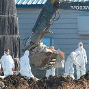 김재명농장 이미지