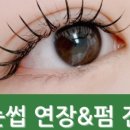 오늘도 클로버