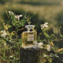 (11/26)나만의 향수 만들기 이미지