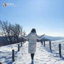 만평할인마트 | 대관령 삼양라운드힐 삼양목장 평창 눈명소 여행