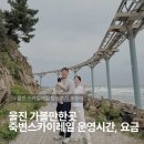 스카이PC | 울진 가볼만한곳 │ 울진 스카일레일(죽변스카이레일) 운영시간 · 요금 · 탑승후기 총정리