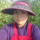 선희농장 이미지