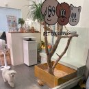 토브 펫 살롱 이미지