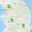 라온캣독 호텔 대구점 이미지