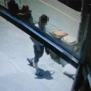 벌교파출소앞 이미지