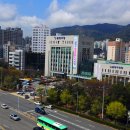 금정목재