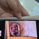 메디홀스요양병원 이미지