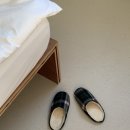 맹그로브 신설 이미지