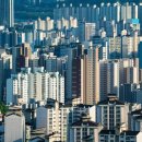 서울척척정형외과의원 이미지