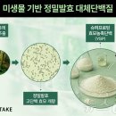 HB푸드 이미지