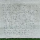 2025.6.8 | 머지않아 이곳에 여름이