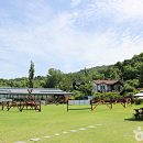 대파니힐링팜 이미지