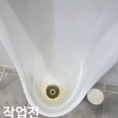 동해체육관 | 동해화장실청소 요석제거 청소전문업체