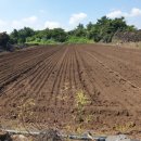 효림농장 이미지