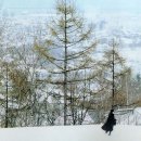 러브레터 이미지