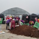 대식농장 이미지