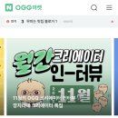 11650-17-196-29 | 솔직한 OGQ 마켓 1기 서포터즈 종료 후기, 성과, 추천 대상