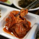 제주꼬끼오 이미지
