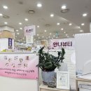 안나뷰티 - 북구 | 안나뷰티
