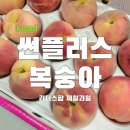 리더스팜플러스