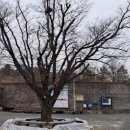 경기둘레길 여주36코스 | 경기둘레길 여주36코스